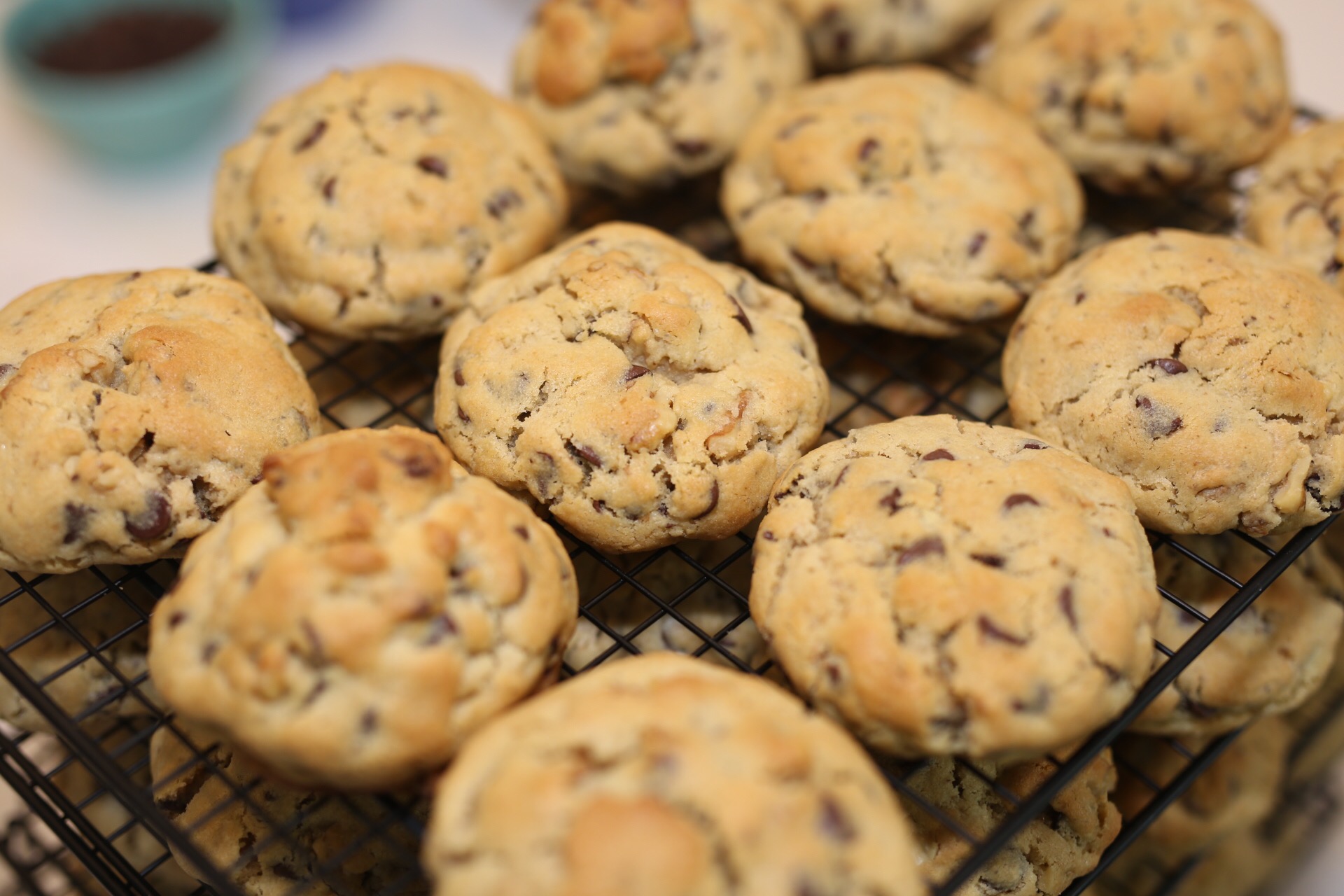 Teddy V Cookies: A Budding Business with a Pinch of Sugar | Bluehost Blog