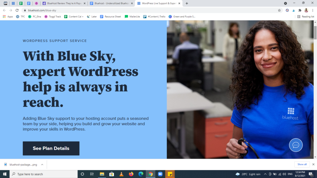Screenshot of the Bluehost feature — Blue Sky