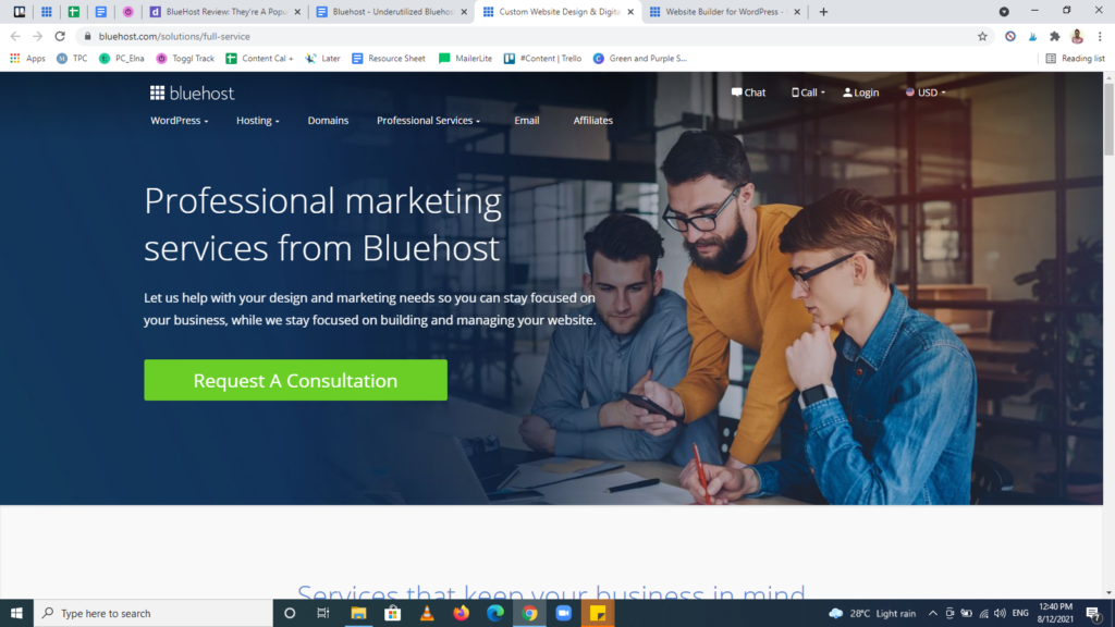 Screenshot of the Bluehost feature — Professional Marketing Services.